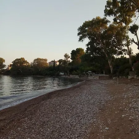 Fragkos * Petalidi